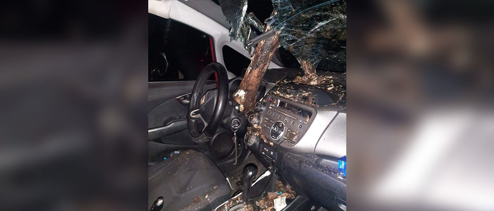 Automovilista se salva de fallecer atravesado por un árbol que cayó sobre su automóvil