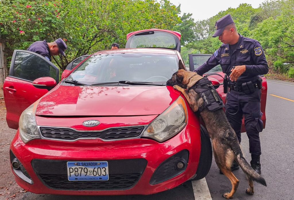 PNC refuerza controles para combatir tráfico ilícito en zonas fronterizas