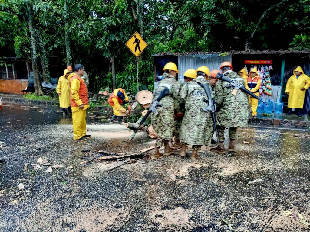 Habilitado paso vehicular en Carretera a los Planes de Renderos tras remoción de árbol caído
