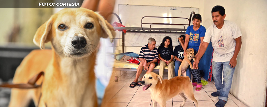 Familia disfruta con sus mascotas en un albergue de San Salvador