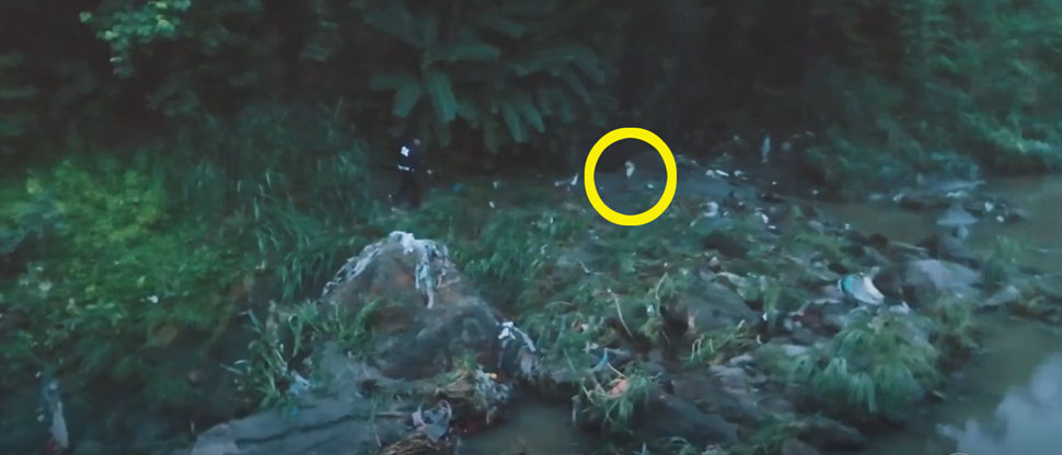 Rescatan a perrito antes que fuera arrastrado en el río Acelhuate