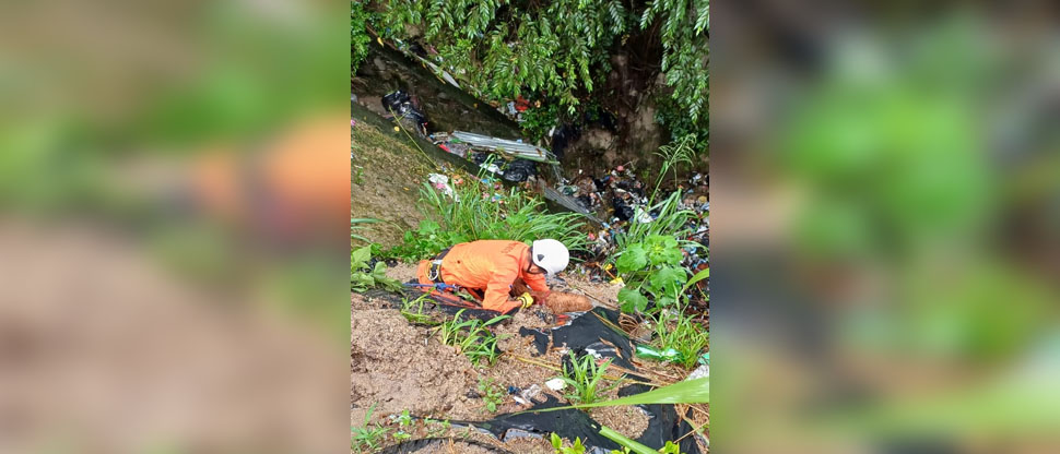 Rescatan a Oso, un perrito que cayó en quebrada de 4 metros de profundidad