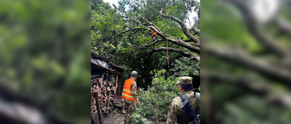 Militares trabajan para remover árbol que cayó en una vivienda en San Antonio Masahuat