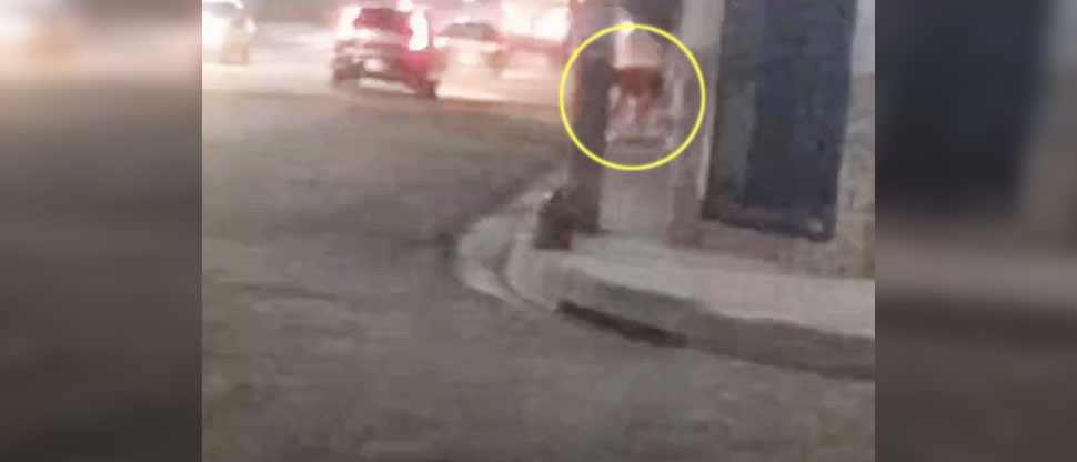 Denuncian a mujer que arroja basura hacia un tragante en Santa Ana