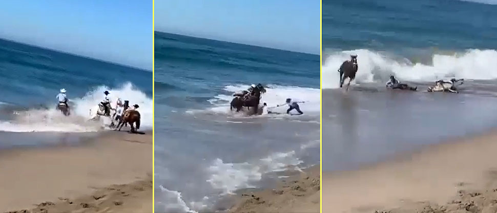Cabalgata casi termina en tragedia: jinetes y caballos fueron arrastrados por fuerte oleaje
