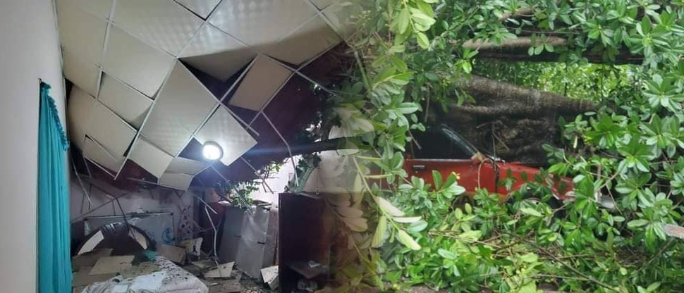 Árbol de gran tamaño cae sobre una vivienda y vehículo en Usulután