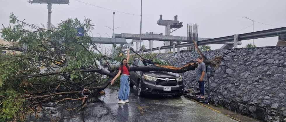 Dueña de camioneta aplastada por árbol posa sonriendo para la foto