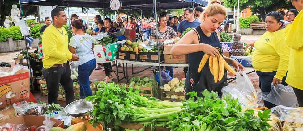 AgroMercados abrirán mañana «más temprano y con precios aún más bajos»