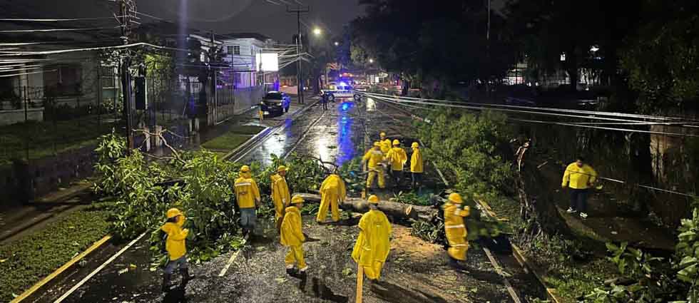 Advierten que vientos de hasta 60 kilómetros por hora podrían derribar árboles y vallas