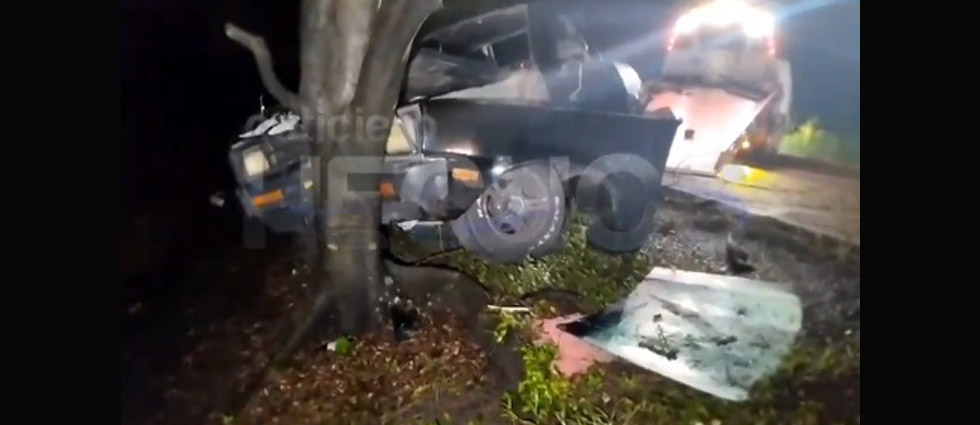 Conductor choca contra un árbol en la carretera Panamericana