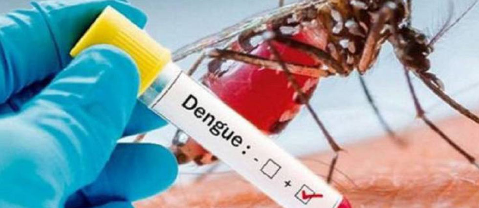 Declaran alerta roja en Medellín por aumento en casos de dengue