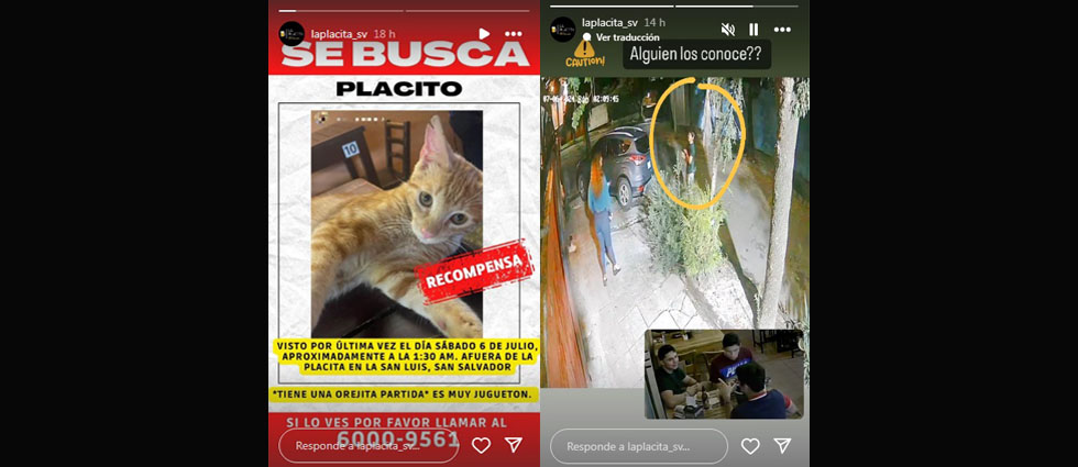 Clientes se roban a gatito en popular bar de la colonia San Luis, pero fueron grabados por las cámaras de seguridad