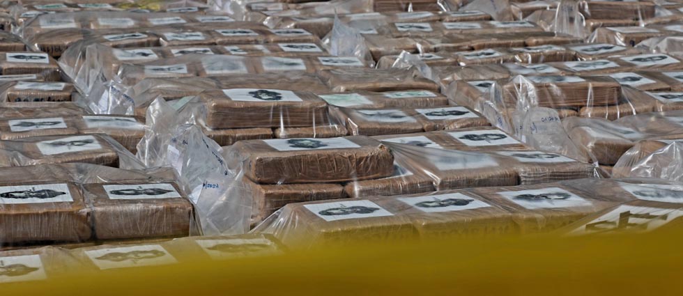 Fiscalía destruye más de $50 millones en droga