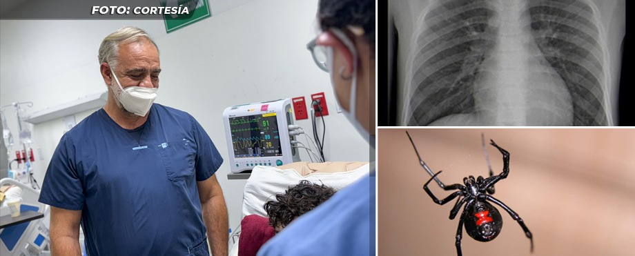 Médicos de Hospital El Salvador salvan a joven que fue picado por una araña viuda negra