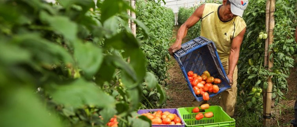 Eliminarán los aranceles a fertilizantes, abonos y otros insumos agrícolas