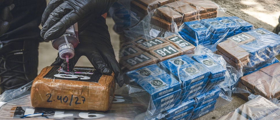 Fiscalía coordina destrucción de droga incautada a extranjeros valorada en más de $19 mil