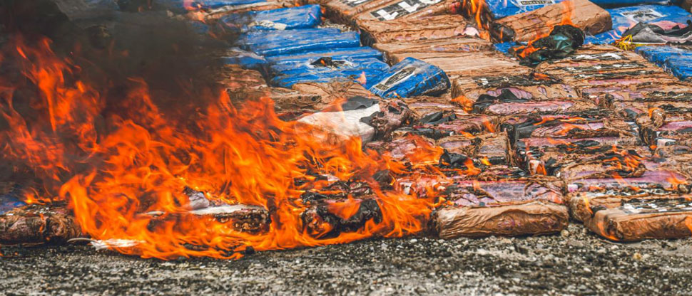 FGR y PNC destruyen 760 kilos de cocaína