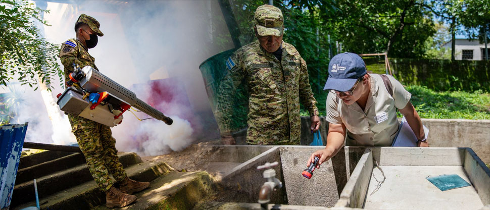 Autoridades no bajan la guardia y redoblan esfuerzos para combatir el dengue