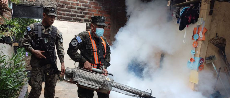 Fuerza Armada se suma al combate contra los criaderos de zancudos principal transmisor del dengue