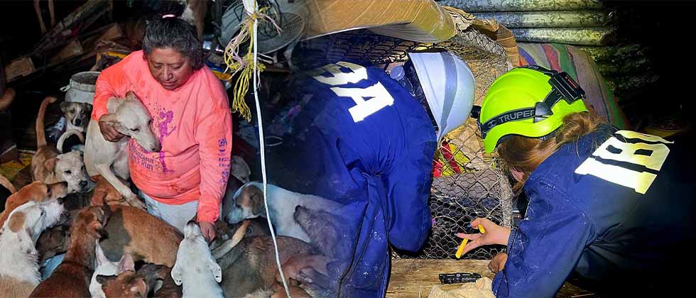 IBA ayuda a albergue que colapsó por las lluvias en Cuscatancingo