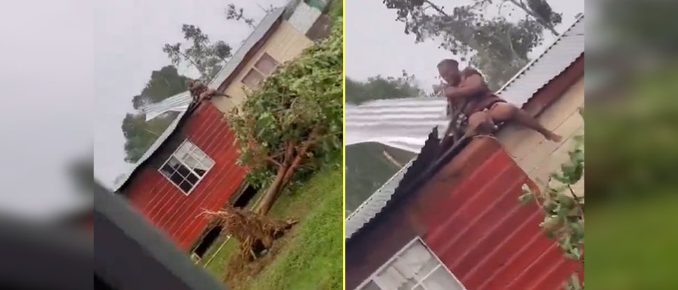 JAMAICA: mujer arriesga su vida al intentar evitar que huracán Beryl destruya el techo de su vivienda