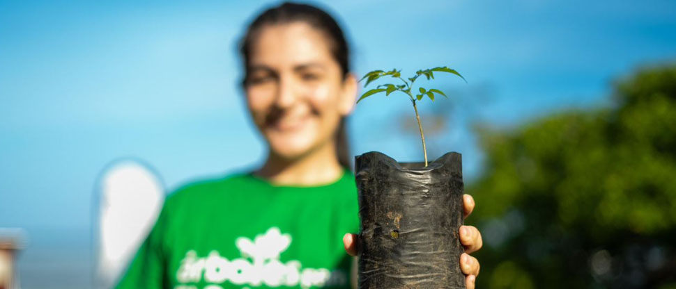 Medio Ambiente lanza iniciativa árboles para El Salvador