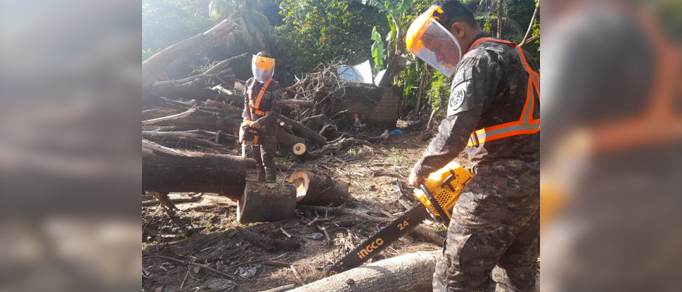 Militares auxilian a una familia tras caer árbol sobre el muro perimetral de su vivienda