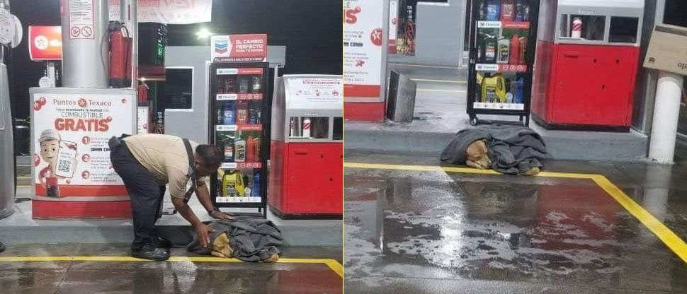 Vigilante protege a un perrito del frío y de las lluvias en una gasolinera de Apopa