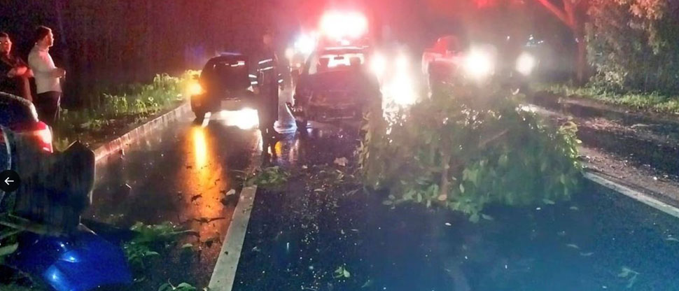 Conductores chocan al intentar esquivar árbol caído por las lluvias