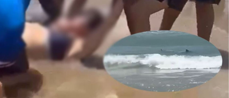 E.E.U.U: Tiburón ataca a turistas en playas de Texas en pleno día de la Independencia