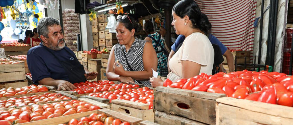 Precio del tomate bajó hasta $0.45 centavos de dólar en el mercado La Tiendona