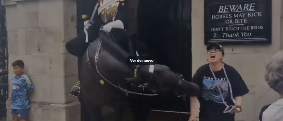REINO UNIDO: Turista es mordida por un caballo de la guardia real, al intentar hacerse una foto