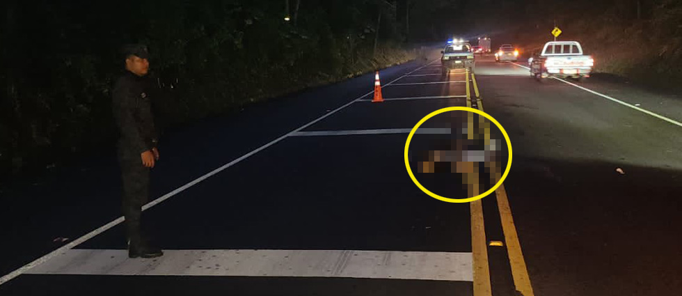 Peatón pierde la vida arrollado cuando intentaba cruzar la carretera Panamericana