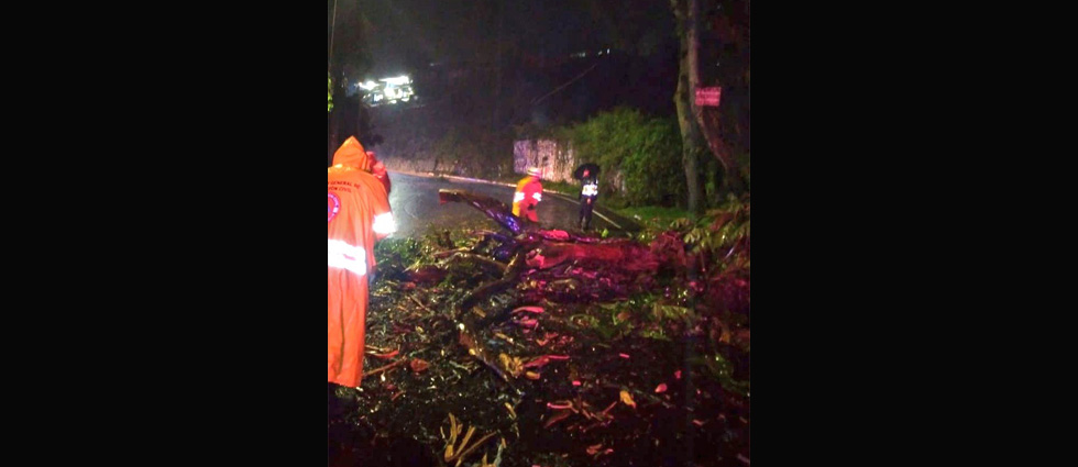 Dos lesionados tras choque contra ramas carretera a Los Planes de Renderos