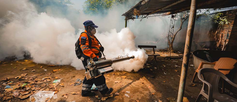 Jornadas de fumigación no paran en vacaciones