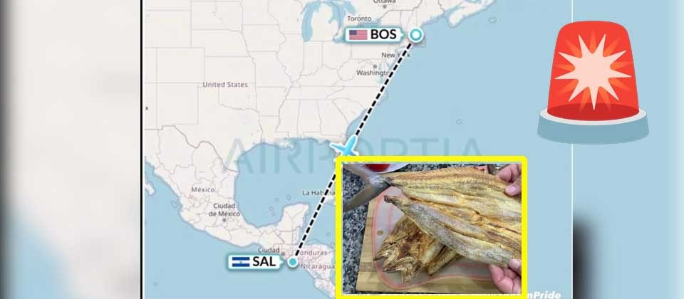 Salvadoreña abre contenedor de pescado seco durante vuelo y activa “alerta de riesgo biológico”