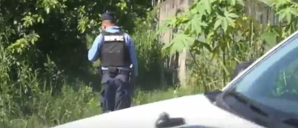 HONDURAS: Encuentran 3 cuerpos en estado de descomposición en predio baldío