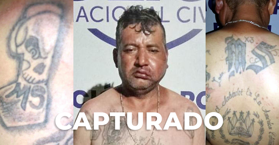 CAPTURADO: Homeboy de la MS se encargaba de reclutar a jóvenes para reestructurar la pandilla