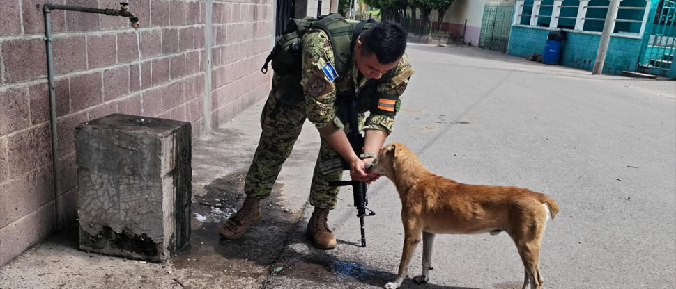 Militar de la Fuerza Armada calma la sed de un perrito callejero
