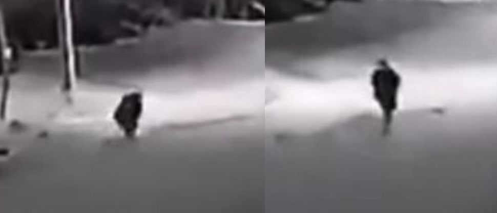 CHILE: Captan a supuesto perro convirtiéndose en hombre a medianoche