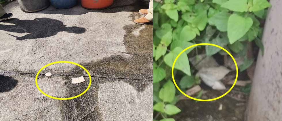 Personal de Salud encuentra bolsas de abate tiradas o mal utilizadas por salvadoreños