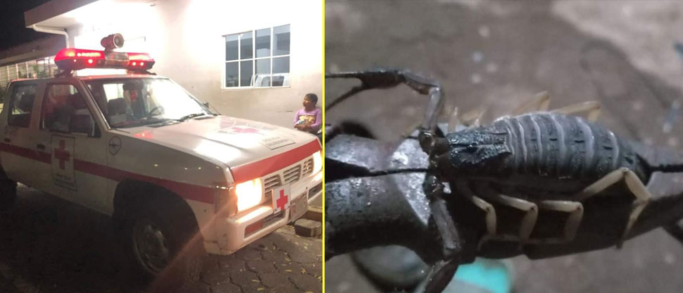 Trasladan de urgencia al hospital a hombre que fue picado por un alacrán en La Unión