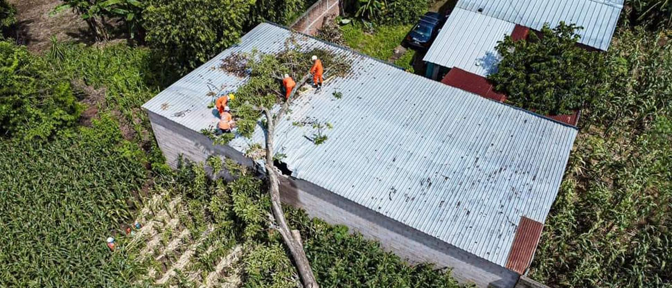 Protección Civil auxilia a familia tras caer árbol en su vivienda
