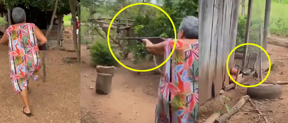 BRASIL: Abuelita saca su rifle para dispararle a serpiente que merodeaba su vivienda