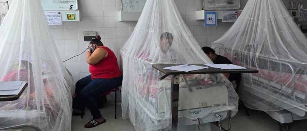 Honduras reportó 17 fallecidos por dengue en la primera semana de agosto