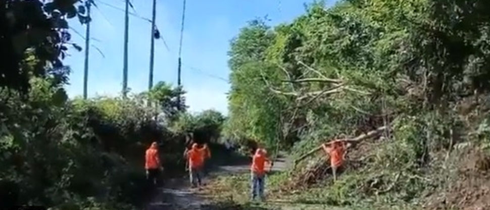 Personal de Fovial desaloja escombros por derrumbe en carretera a Ciudad Barrios