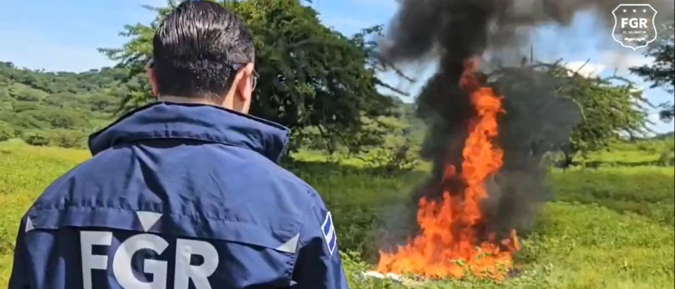 FGR destruye 3,528.8 gramos de marihuana, 2,317.51 gramos de cocaína y 9 plantas de marihuana