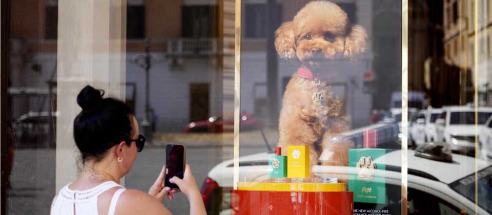 Lanzan un perfume para perros por $108