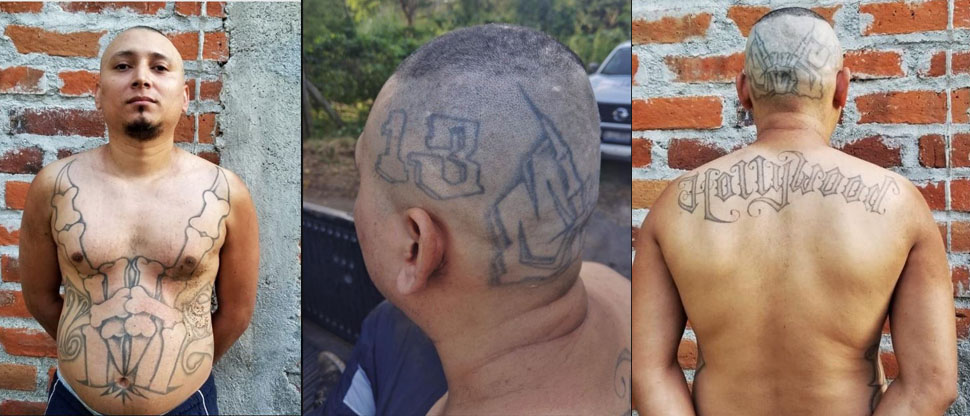 Peligroso homeboy de la MS13 pensó que nunca sería capturado y hoy va directo al CECOT