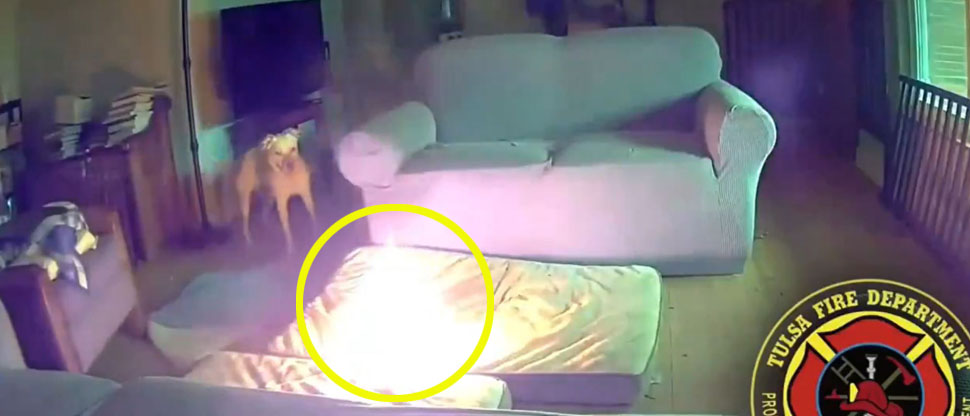 E.E.U.U: Perro incendia vivienda tras morder batería de litio